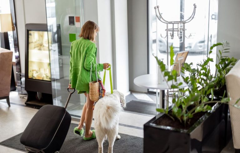 dog friendly hotel